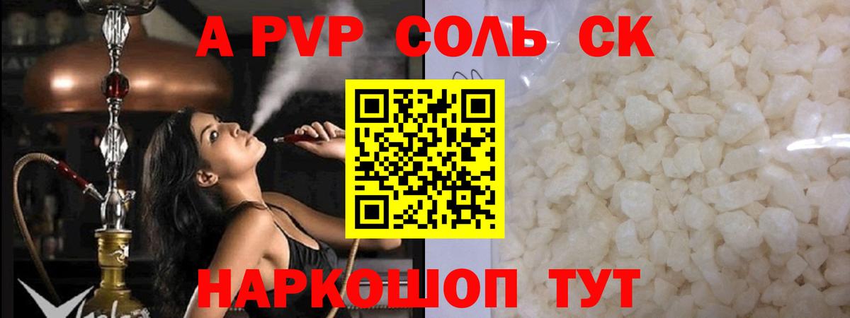 Альфа ПВП СК КРИС Геленджик