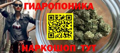 a pvp Сланцы