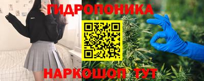 тгк Славянск-на-Кубани