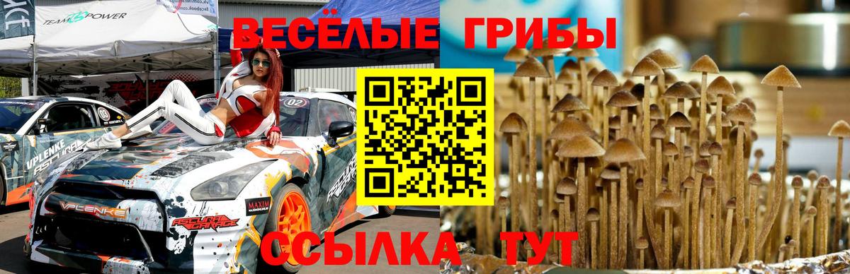 наркотики  Галлюциногенные грибы GOLDEN TEACHER  Галлюциногенные грибы Psilocybe  Вход с VPN  Геленджик 