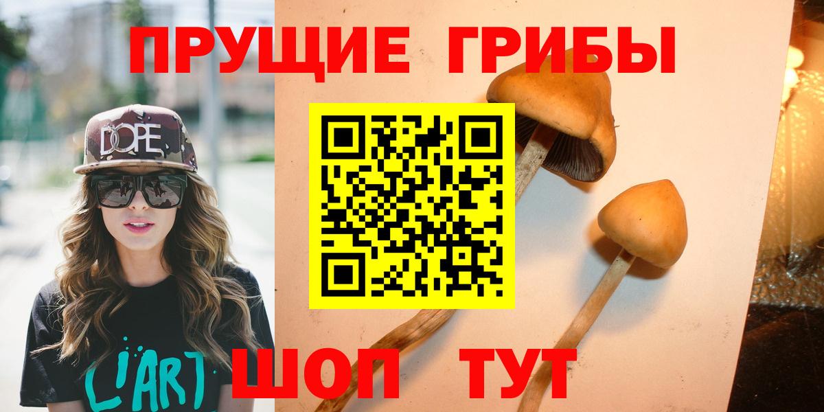 Галлюциногенные грибы Cubensis Геленджик