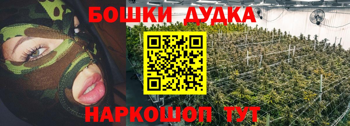 Канабис план Геленджик